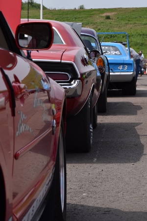085 (300x450).jpg