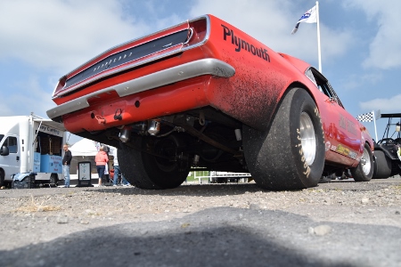 174 (450x300).jpg