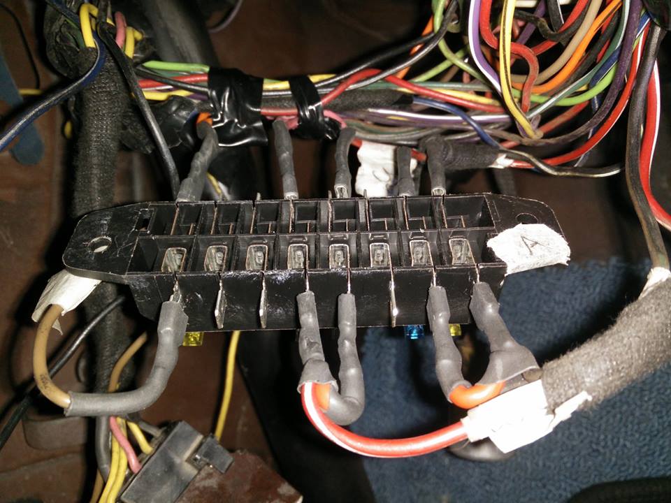 13344767_10157115657610165_2898076626264201494_n.jpg