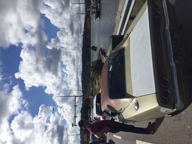 queue for small ferry in countryside near Gothenburg