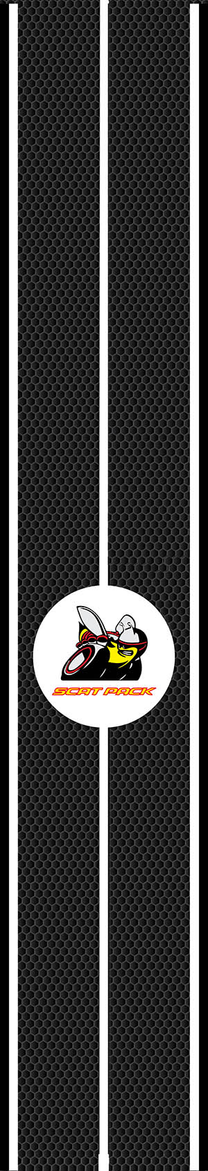 dodge stripe 900 x 163mm.jpg