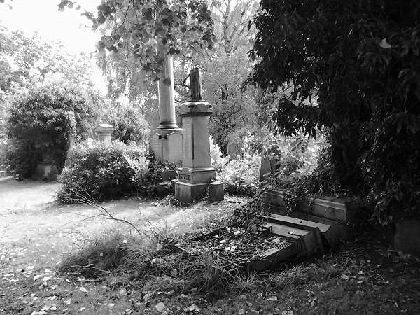 Cathcart Cemetary 2.jpg