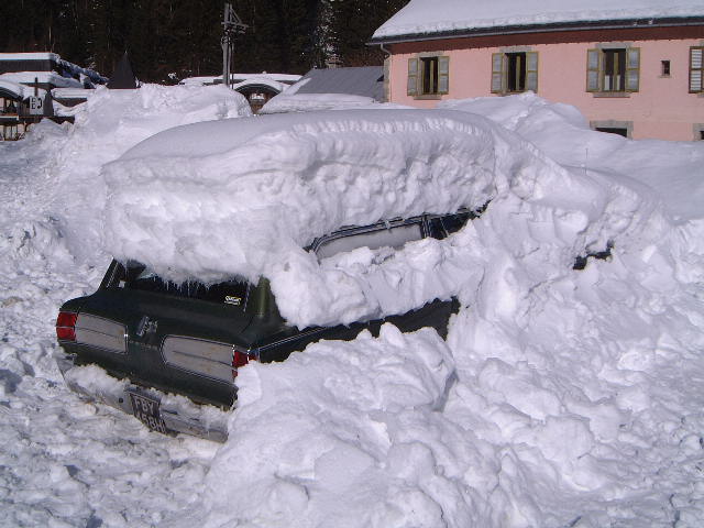Matts wagon.jpg
