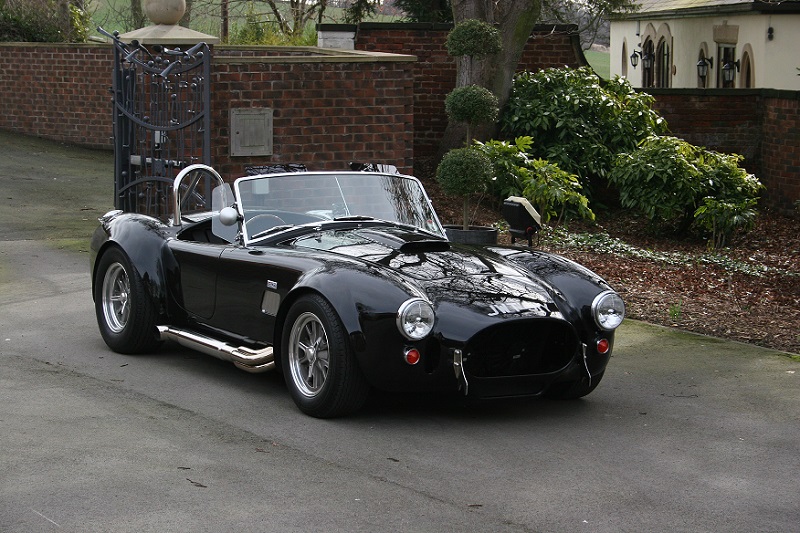 Cobra done.jpg