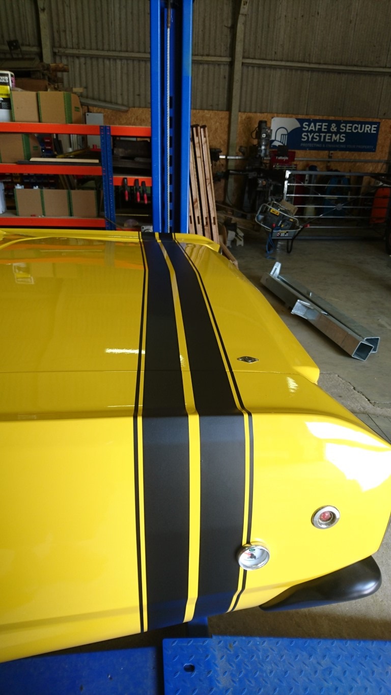 Bee Stripe (2) (Medium).JPG