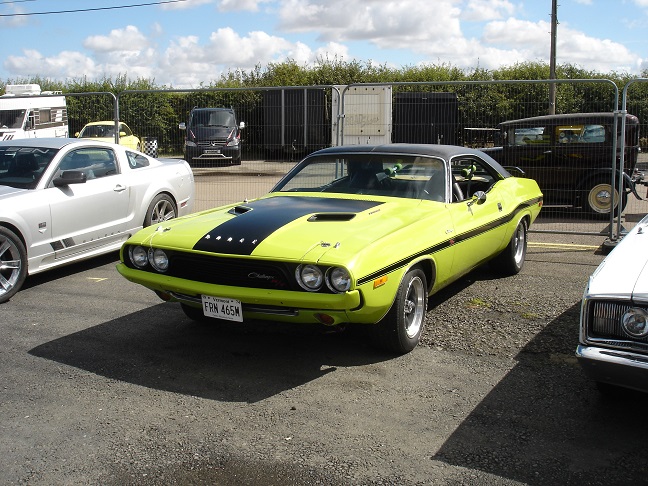 This is actually sub-lime but looks yellow for some reason.
