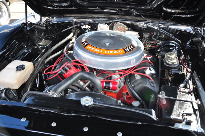 DSG_0883.jpg