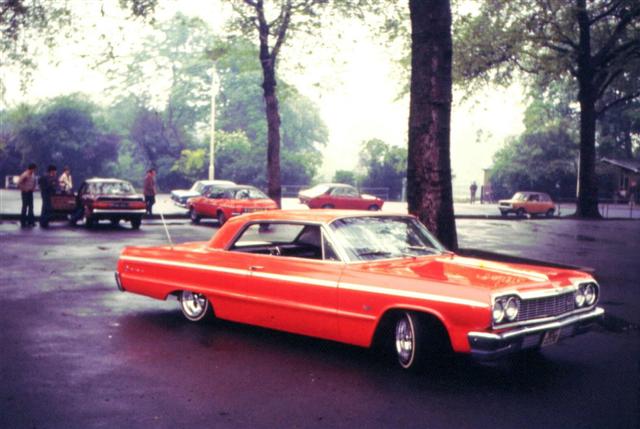 Orange impala (Small).jpg