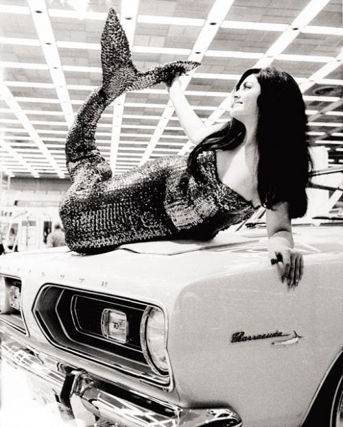 plymouth_barracuda.jpg