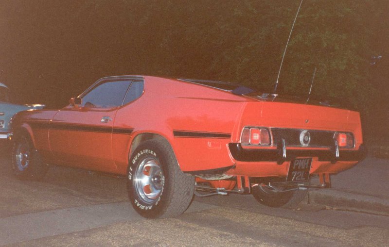 Mustang 4.jpg