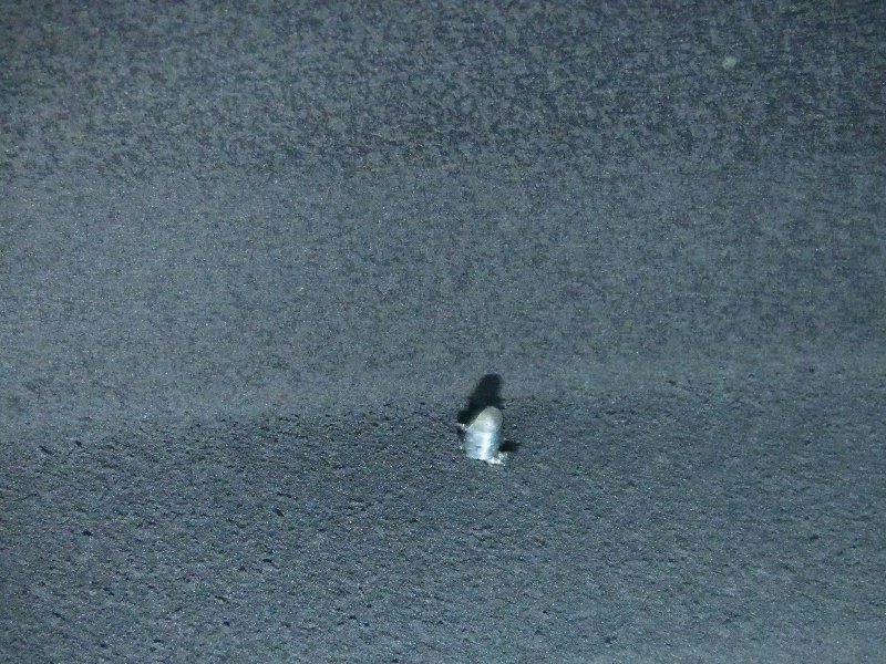 P1090259.jpg