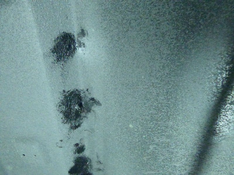P1090265.jpg