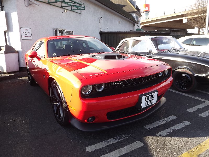 DSCF3229.JPG