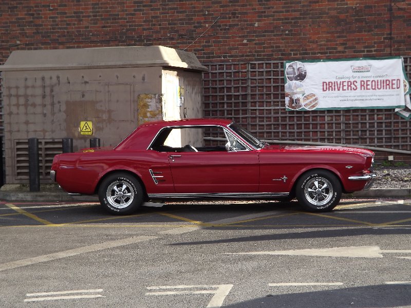 DSCF3255.JPG