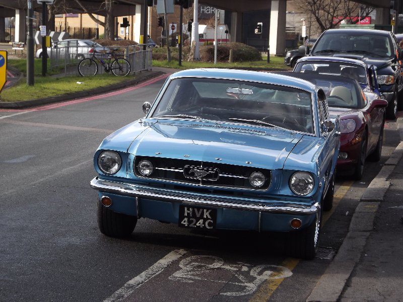 DSCF3298.JPG