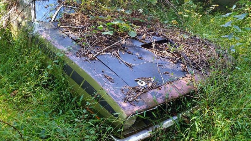 neglected cuda.jpg