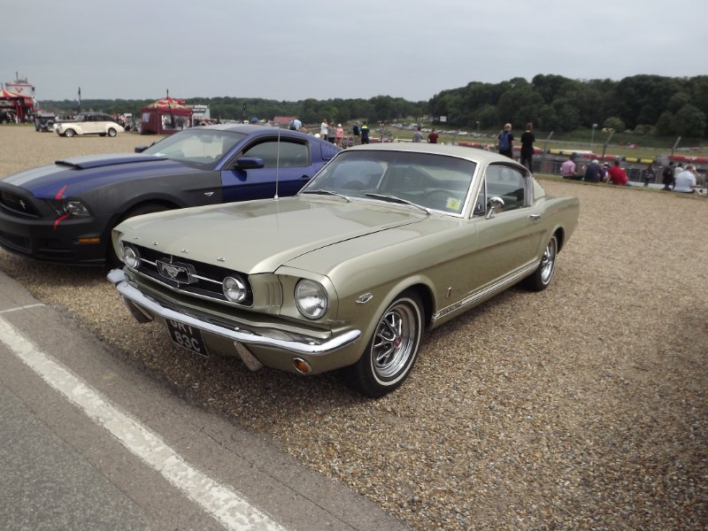 DSCF3761.JPG