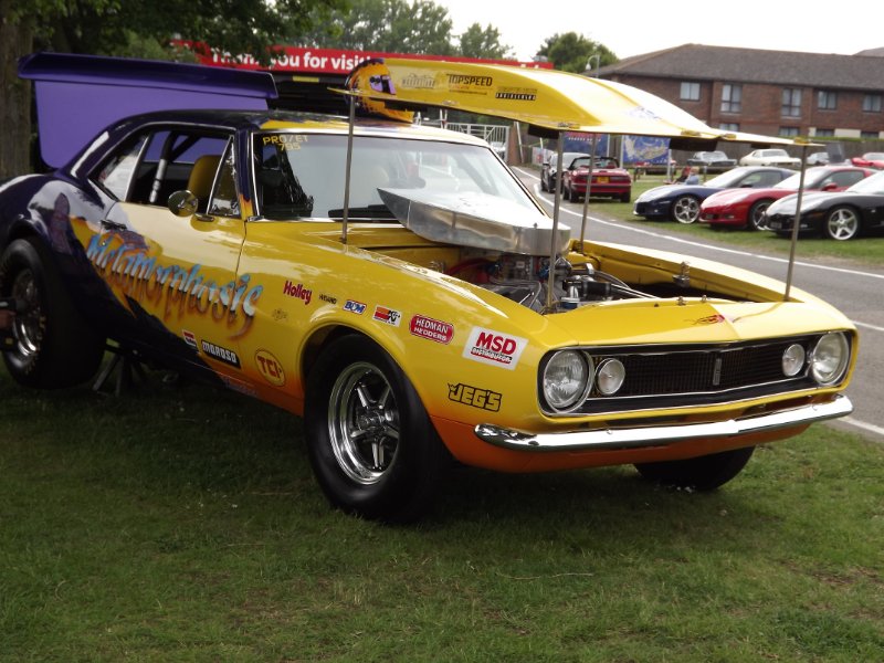 DSCF3769.JPG