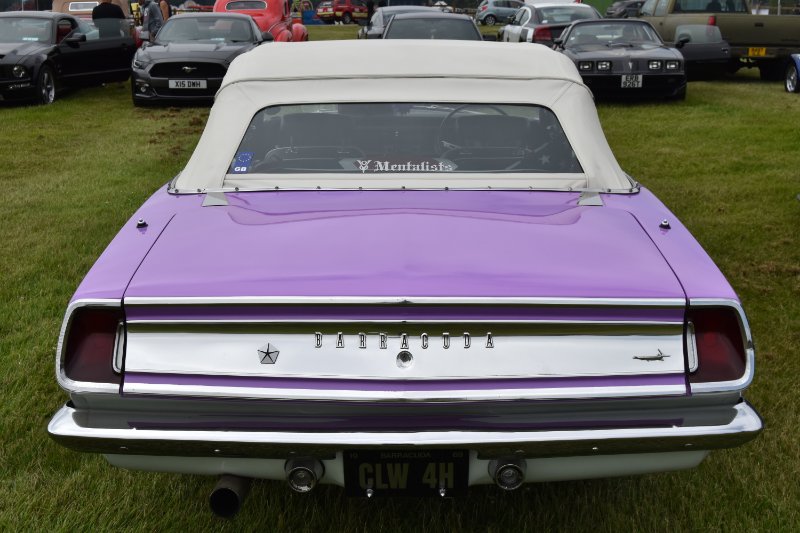 DSC_1147.JPG