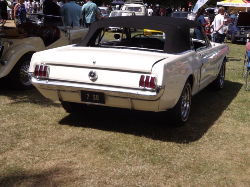 DSCF4055 (2).JPG