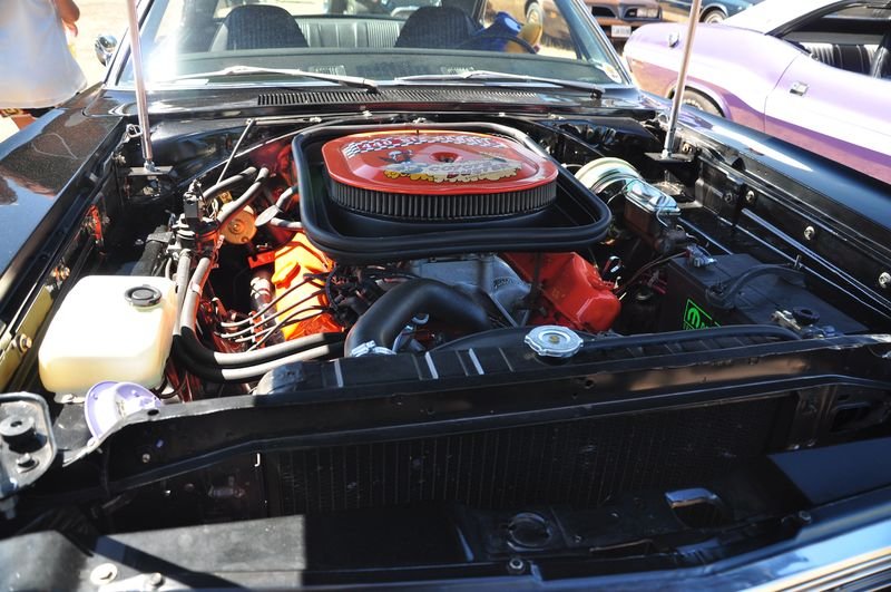 DSG_2242.jpg