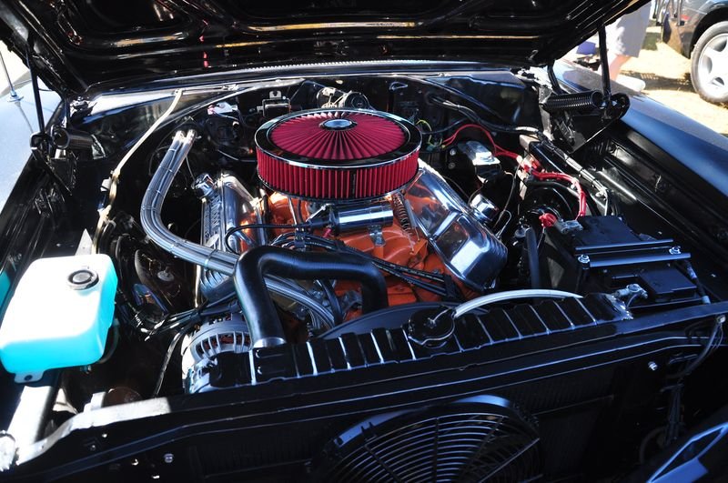 DSG_2269.jpg