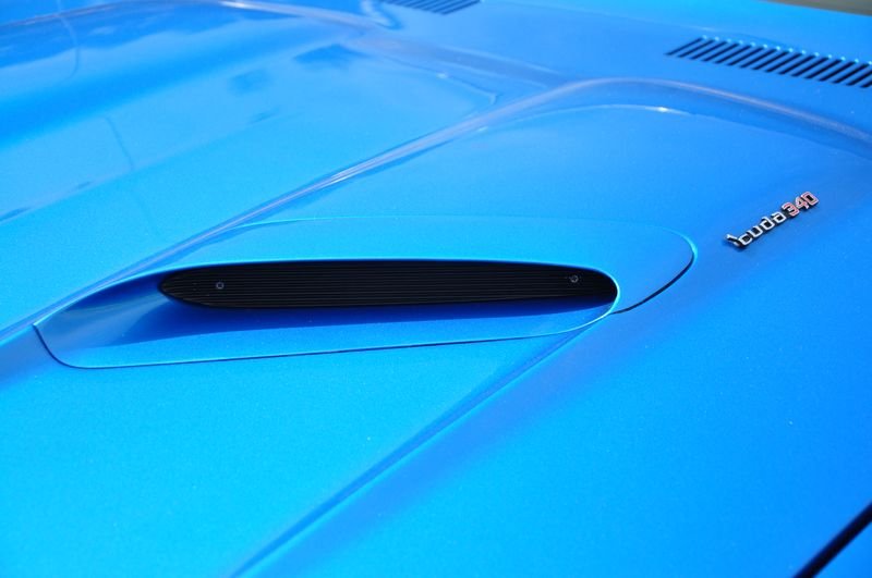 DSG_2303.jpg