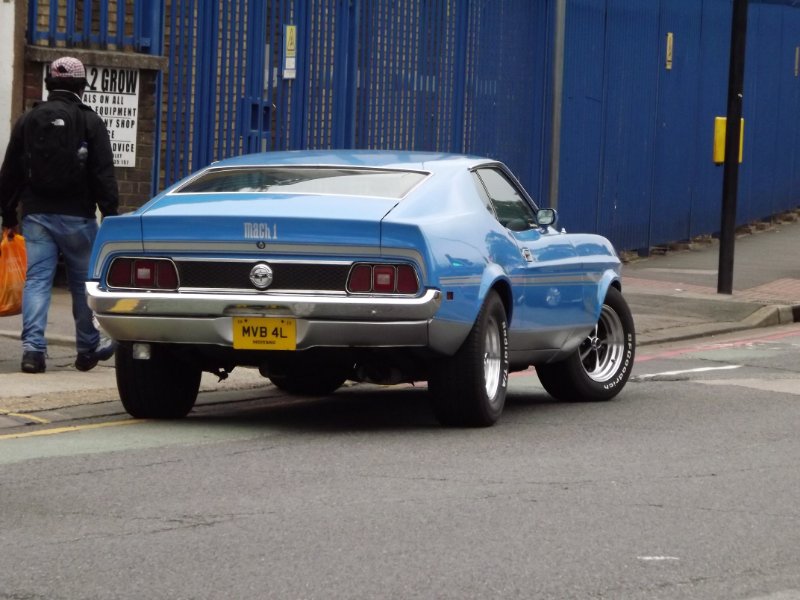 DSCF4203.JPG