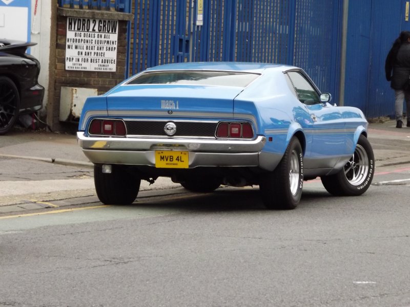 DSCF4204.JPG