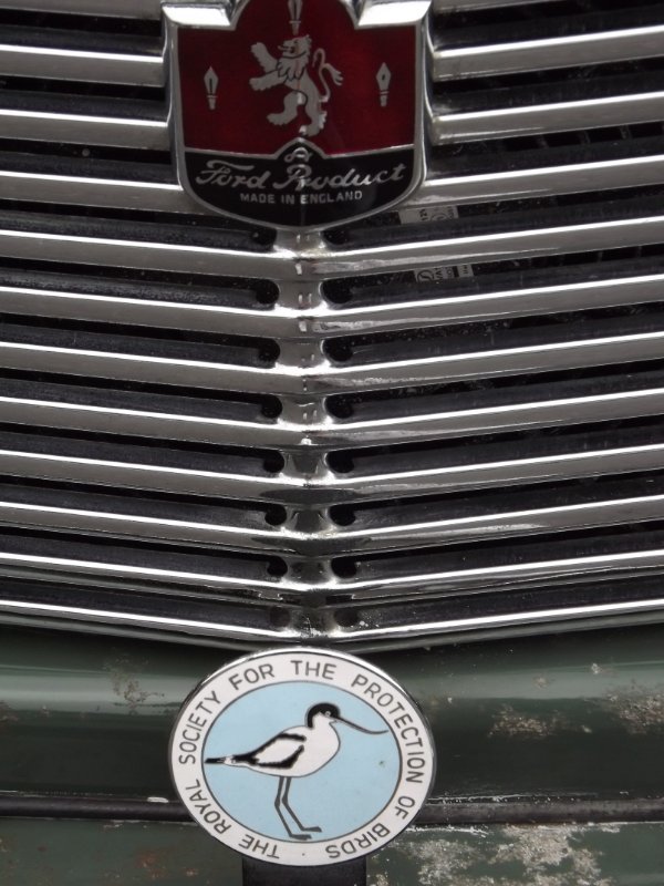DSCF4220.JPG
