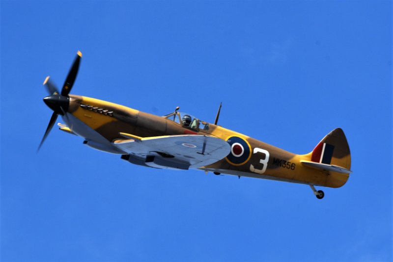 DSC_2612.JPG