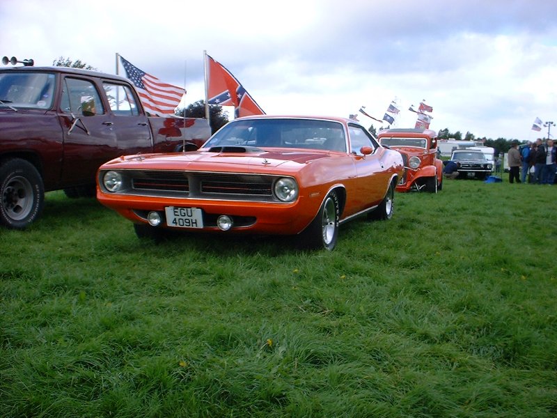 Cuda.JPG