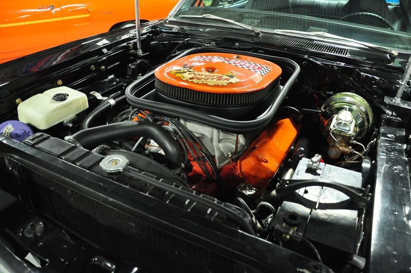 DSG_2728.jpg