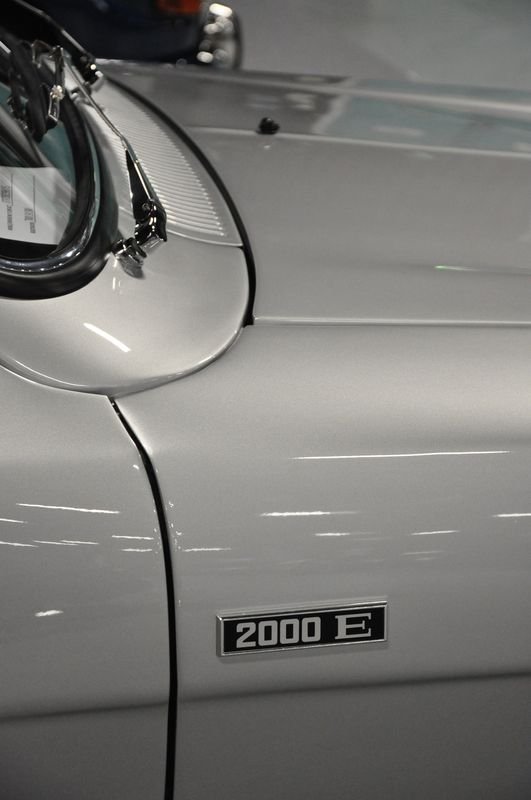 DSG_2789.jpg