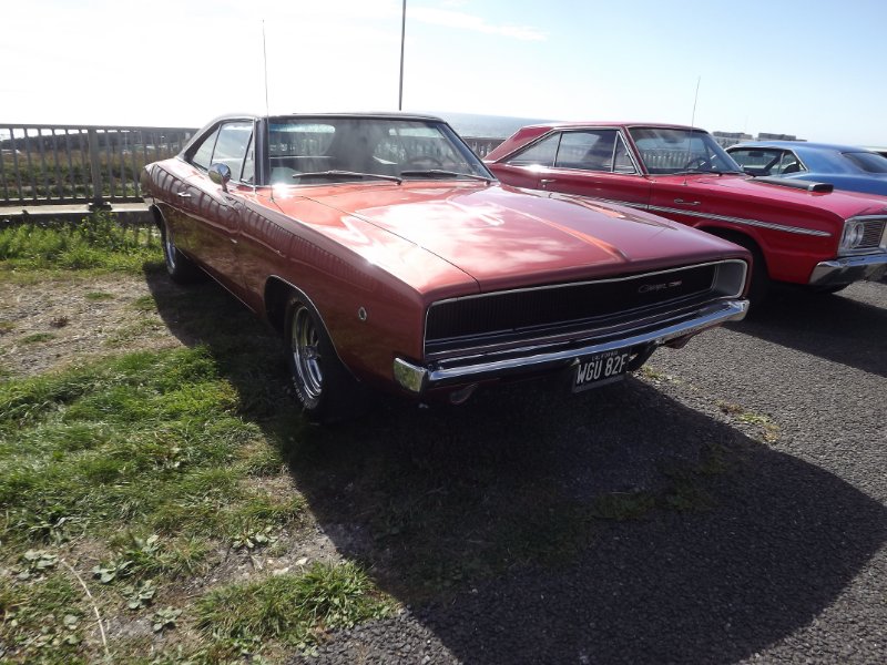 DSCF4716.JPG