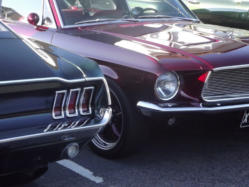 DSCF4850.JPG