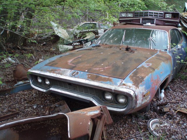 a roadrunner 3.jpg