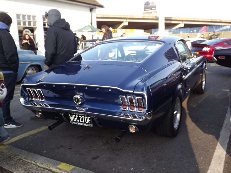 DSCF5161.JPG