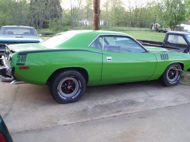 Cuda 1.jpg