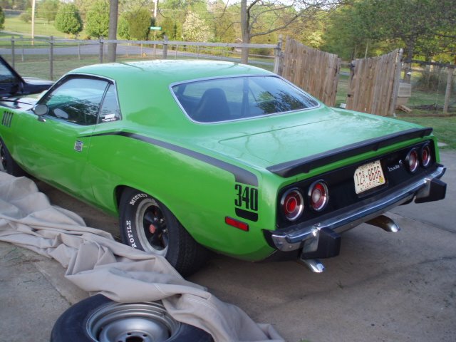 Cuda 2.jpg