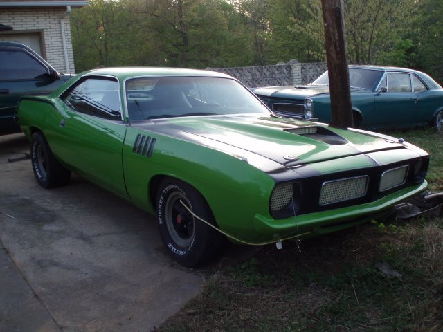 Cuda.jpg