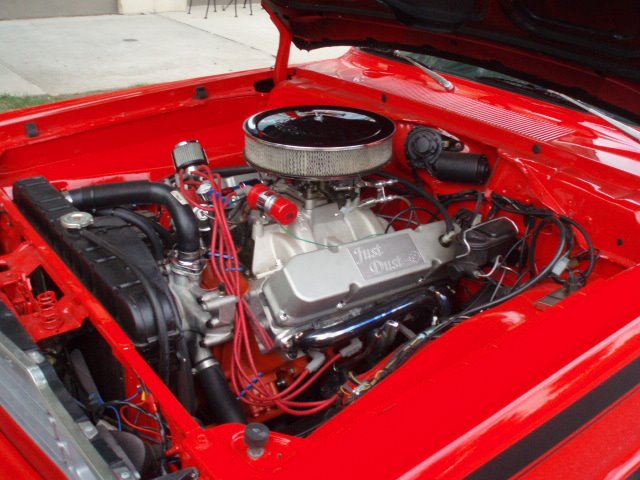 Local show (8).jpg