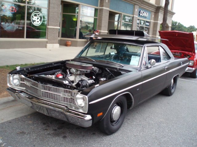 Local show (12).jpg