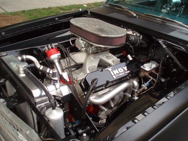 Local show (13).jpg