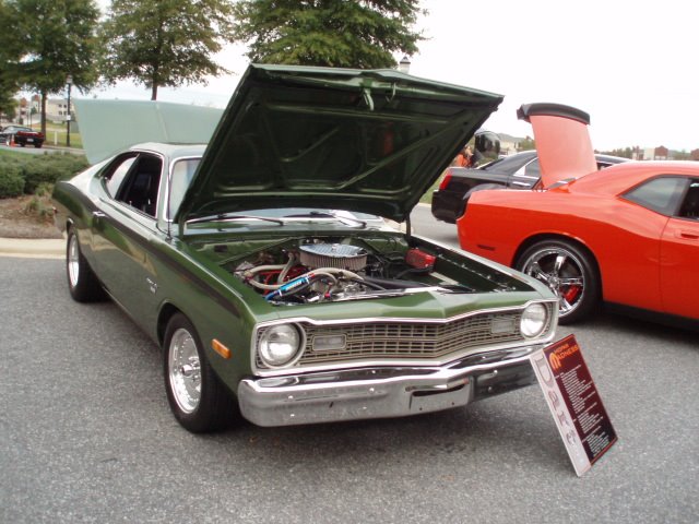 Local show (39).jpg