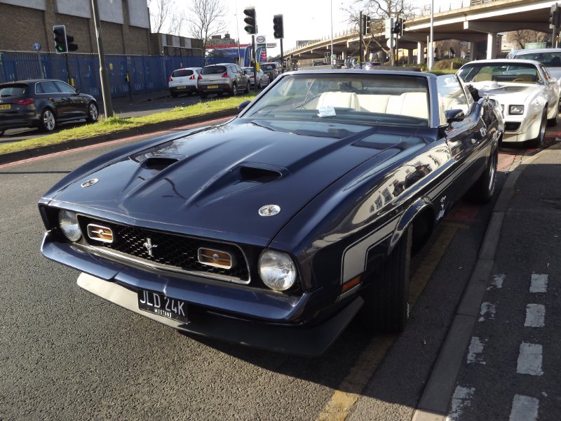DSCF5232.JPG