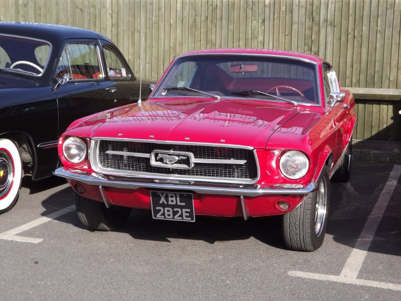 DSCF5295.JPG