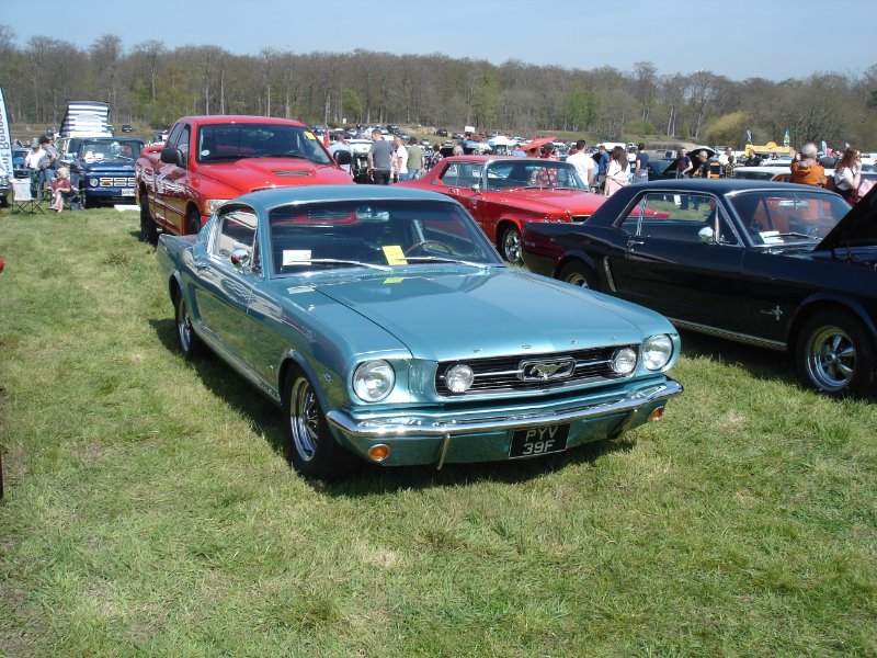 DSC00133.JPG