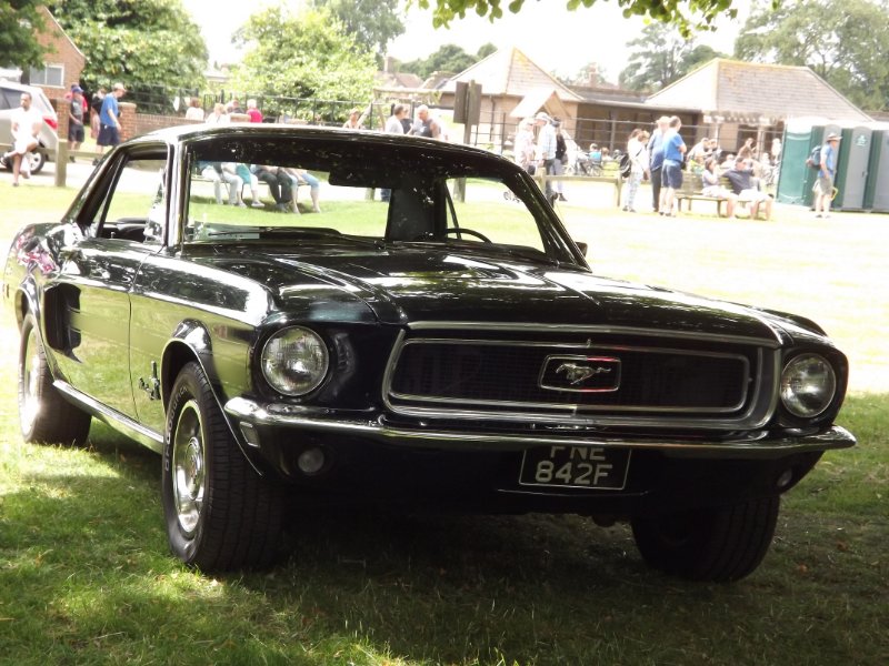DSCF6050.JPG