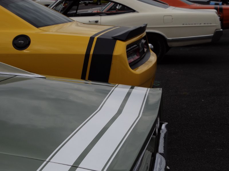 DSCF6576.JPG